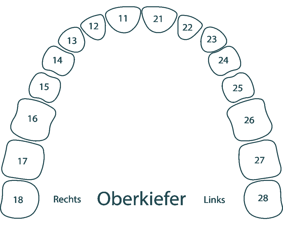 Oberkiefer