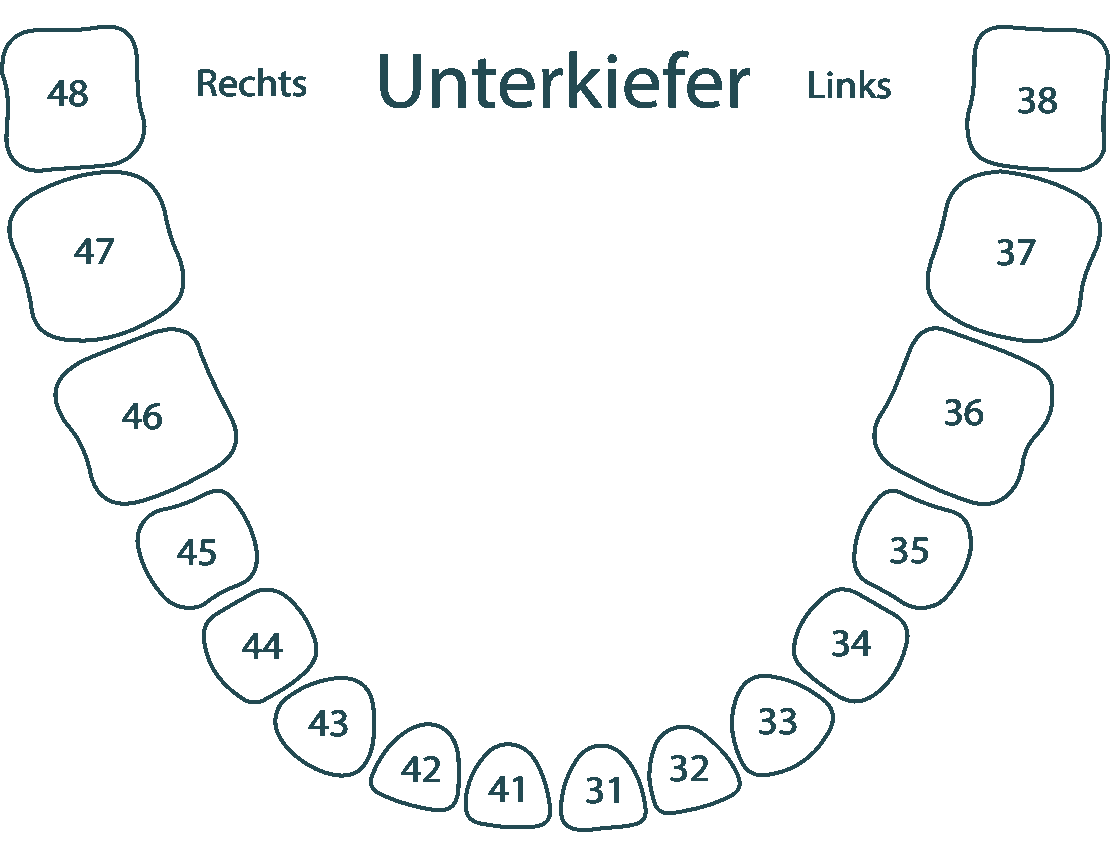 Unterkiefer